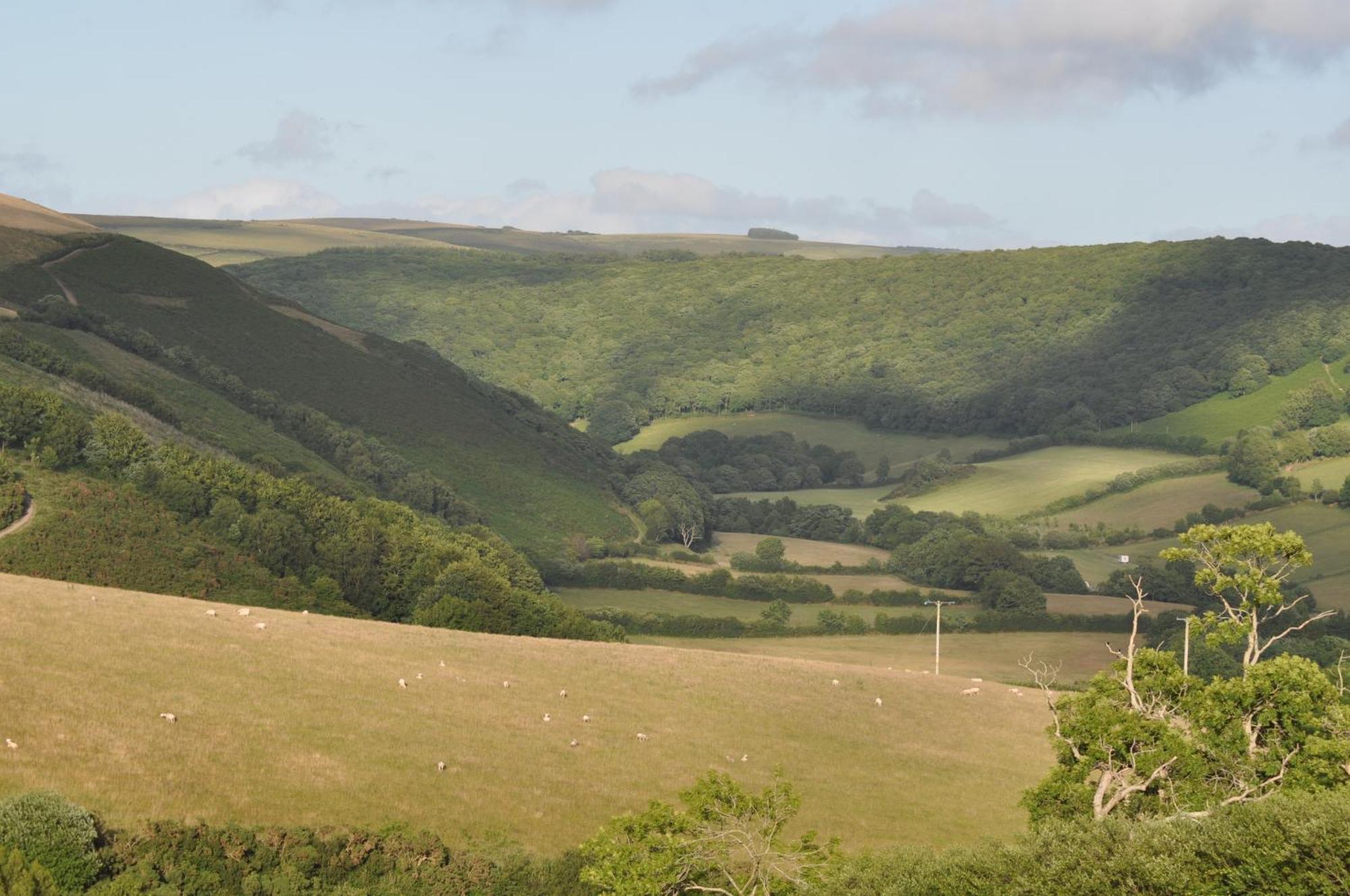 Bed and Breakfast Coombe Farm Lynton Exterior foto
