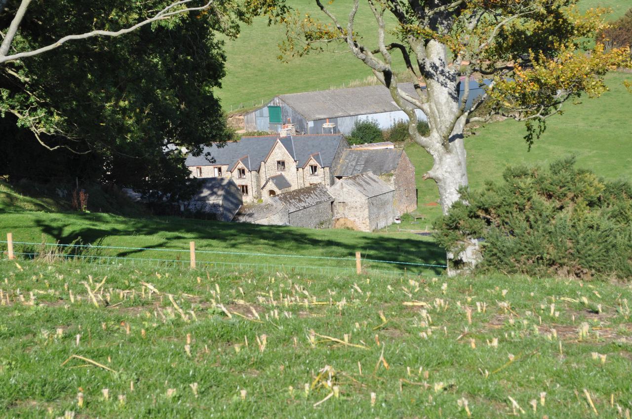 Bed and Breakfast Coombe Farm Lynton Exterior foto